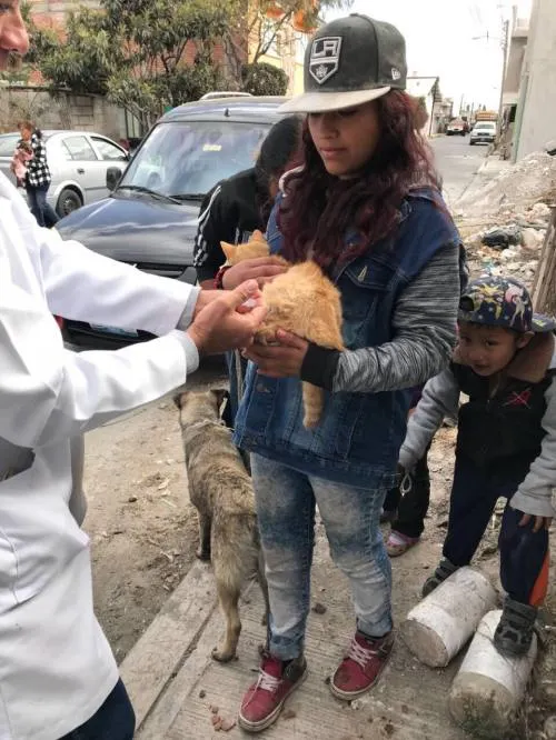 Ayuntamiento realiza jornada de esterilización de mascotas en la colonia Constitución Mexicana