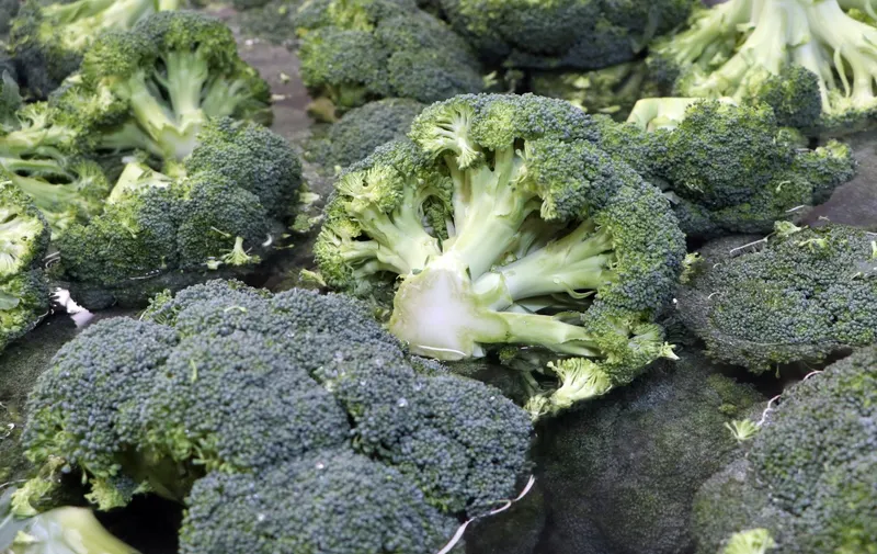 La Secretaría de Desarrollo Rural fomenta exportación de frutas y verduras