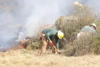 En Puebla, la meta de cero incendios continuará para salvar vidas y a los bosques: Armenta