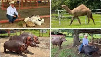 Carlos Barragán se prepara a reabrir su polémico zoológico