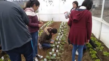 Inaugura Granjas Carroll de México Huerto e Invernadero Escolar en Tlachichuca