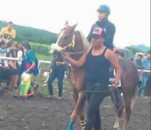 Carrera de caballos en Izúcar termina en balacera; hay un muerto