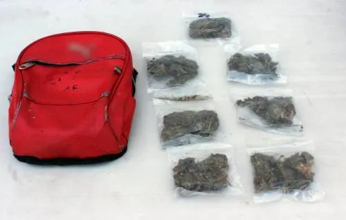 Policías de la capital poblana detuvieron a cinco hombres en posesión de posible marihuana