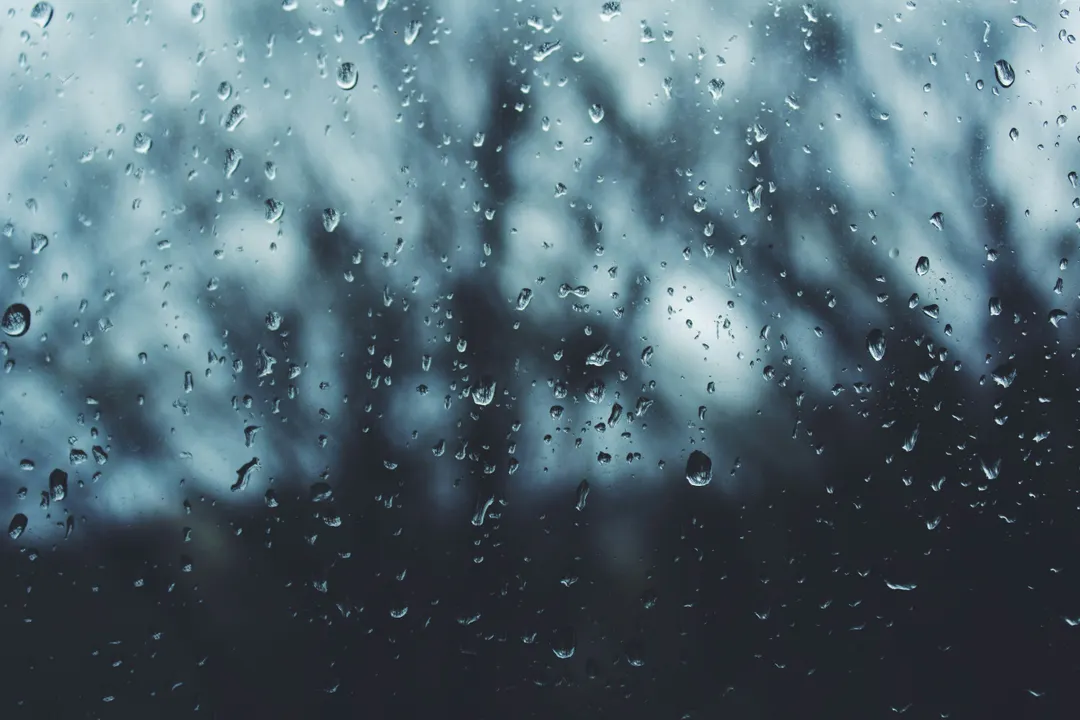 Foto: Noah Silliman / Unsplash