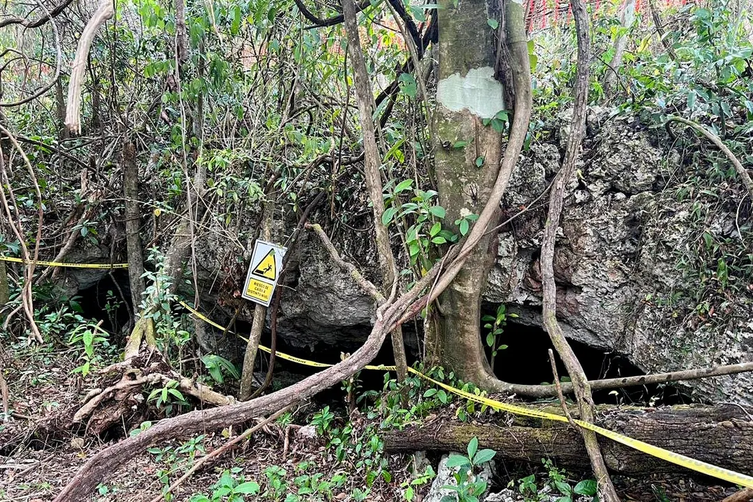 Registro Cuevas Tramo 5 Tren Maya