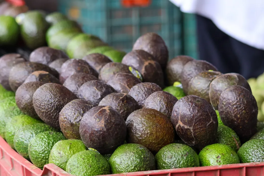¡Adiós al guacamole! Aguacate se dispara 18.5%; mientras Puebla resiste con inflación por debajo de la media nacional
