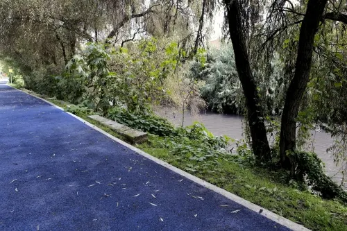 Circula petición en Change.org para cambiar nombre de Parque Metropolitano a Parque Amy Camacho