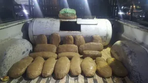 Seguridad Pública Estatal desarticuló a una banda con 32 kilos de droga