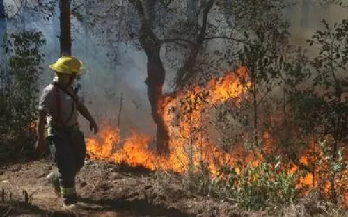 Sólo un incendio activo en la entidad poblana: PC Estatal