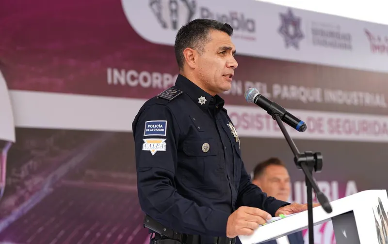 Imagen del artículo
