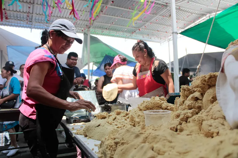 Foto: Ulises Raziel Juárez Guarneros / EsImagen
