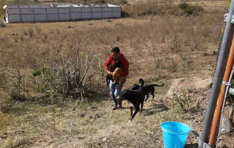 Imagen 2