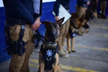 Propone Claudia Rivera ampliación de unidad canina y fortalecimiento del 072