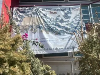 Últimos días de “Verde Navidad 2026” en Cuautlancingo: recicla tu árbol y cuida el medio ambiente