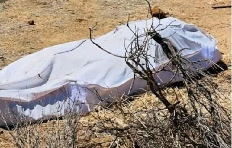 Hallan supuesa narcofosa con ocho cuerpos en Tecate; ligan caso al Cártel de Sinaloa