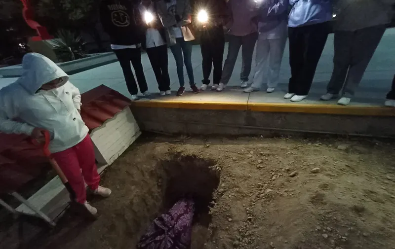 Perrito Ingeniero