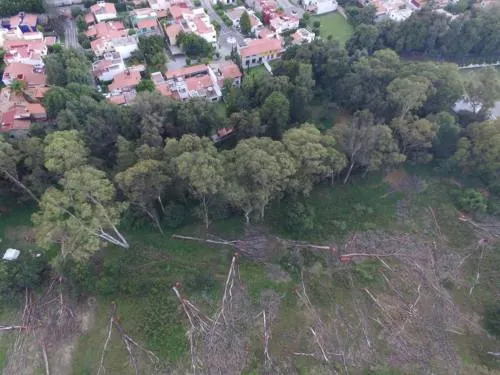 Firme, denuncia penal por tala y violación de sellos en Vivero de Santa Cruz Guadalupe: SDRSOT