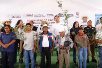 En microrregión de Cuapiaxtla inicia plan de reforestación 2025