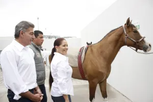 Informe de Gali en pie para el 15 de febrero