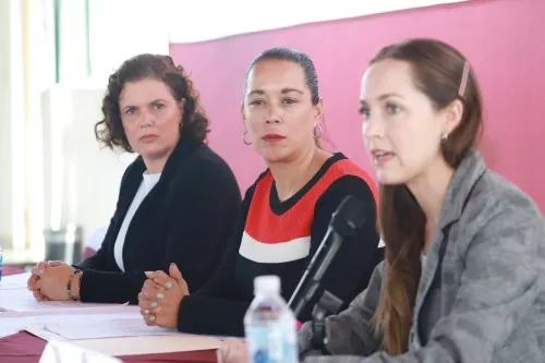 Declaraciones de Gonzálo Juárez sólo generan violencia: Ornelas