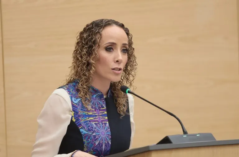 La politización del ciberasedio