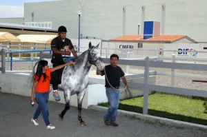 SMDIF ofrece mejores servicios de rehabilitación