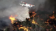 Australia en llamas por incendios forestales masivos