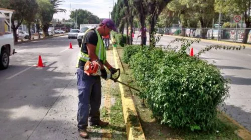 Ayuntamiento pone en marcha el Programa de Mantenimiento en Parques y Jardines