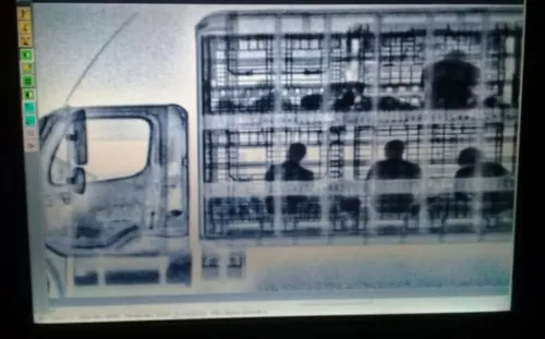 Con rayos X, detectan a migrantes en caja de camión en Zacatecas