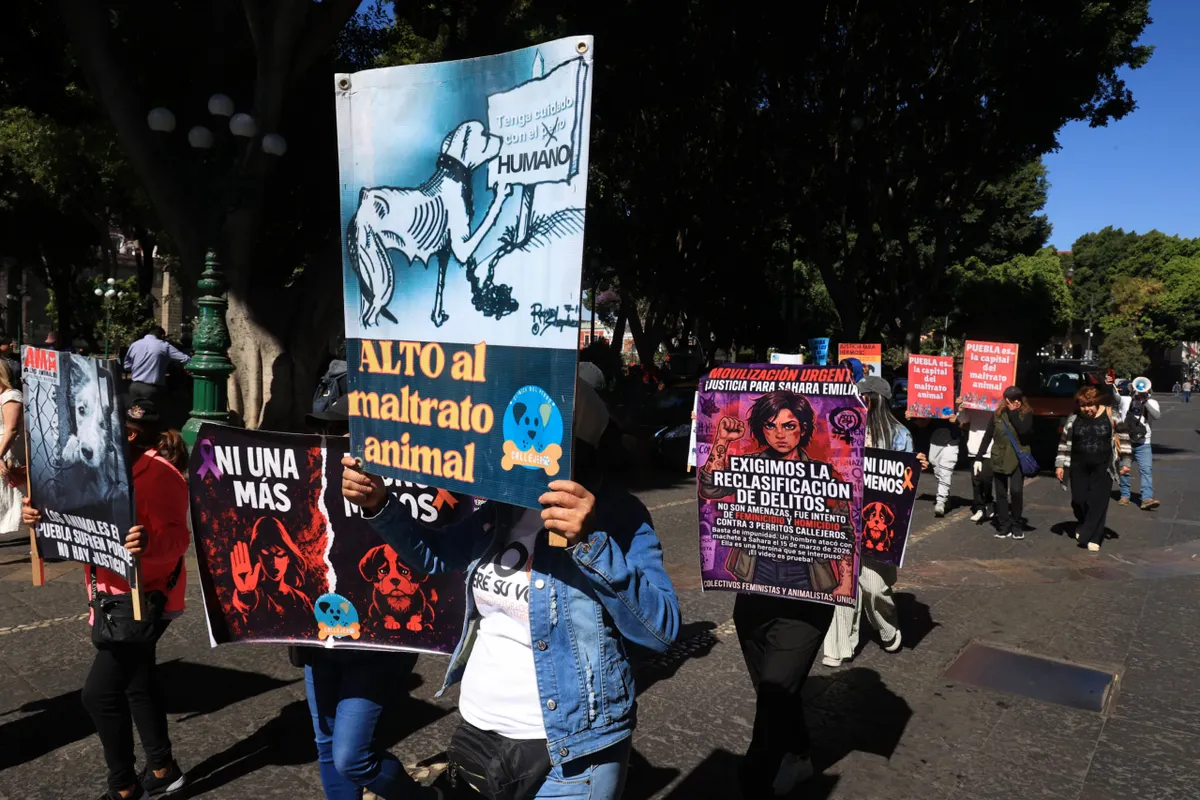 Imagen del artículo