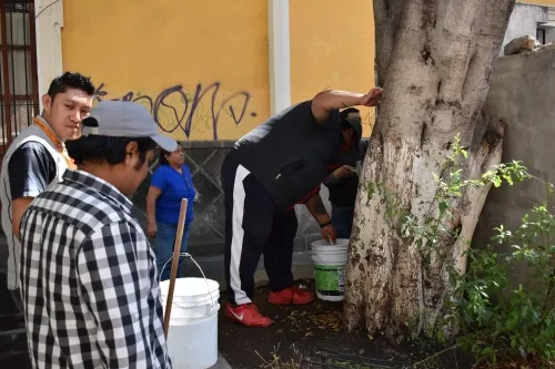 Artesanos de John Lennon hacen limpieza general para enfrentar Covid-19