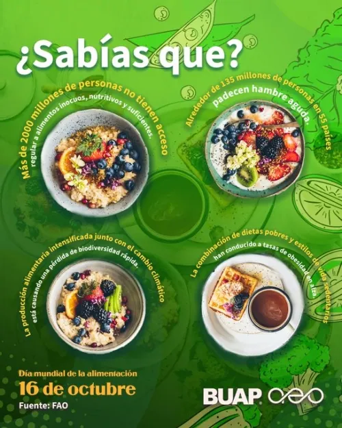 Una dieta saludable ayuda a protegernos de la malnutrición: Esparza Ortiz