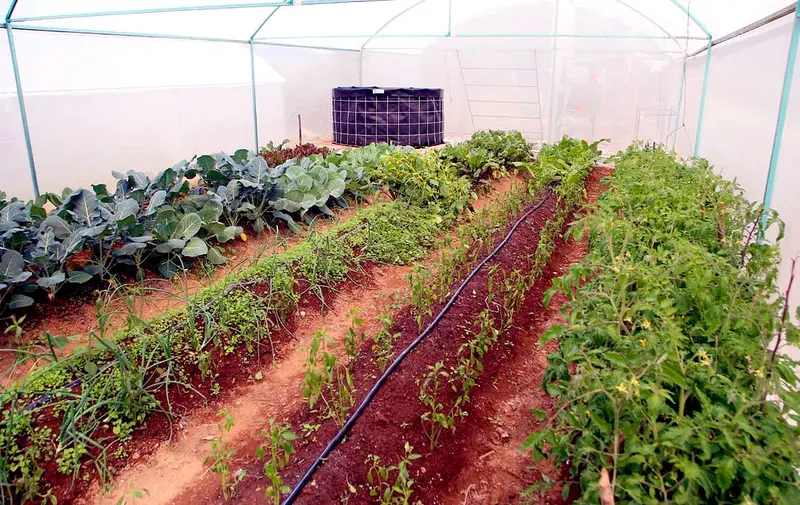 bienestar-entrega-apoyos-huauchinango