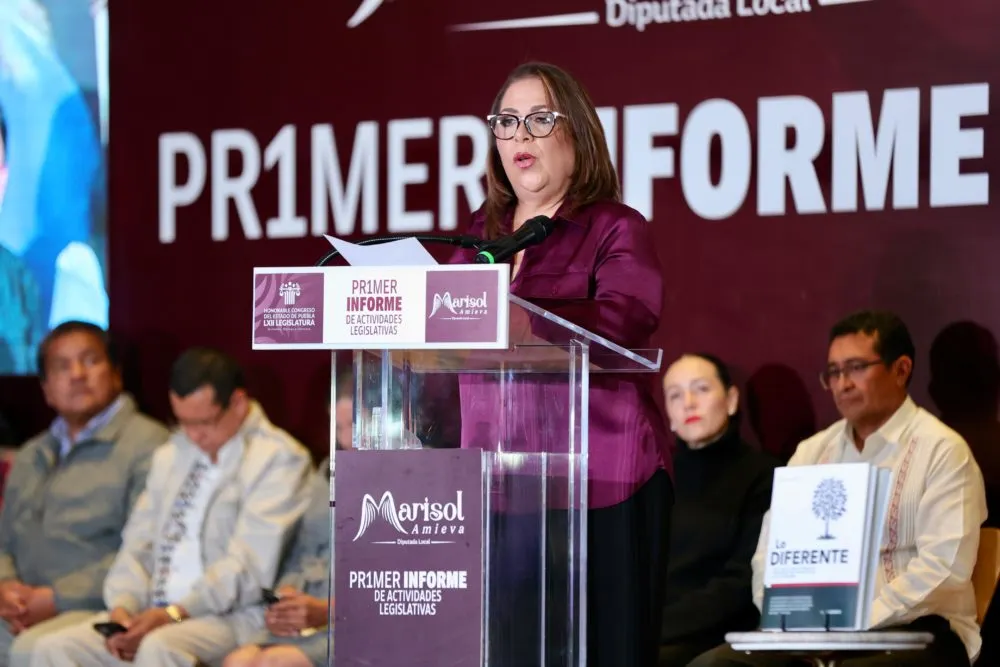 María Soledad Amieva Zamora, diputada local