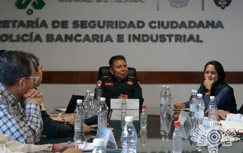 Seguridad Pública