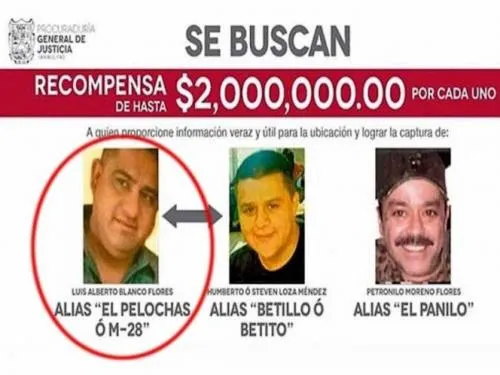 Cae en Monterrey “El Pelochas”, capo que operaba en Tamaulipas