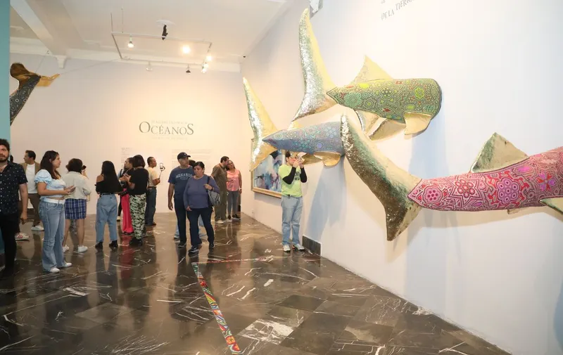 murmullo-oceanos-galeria-palacio-municipal