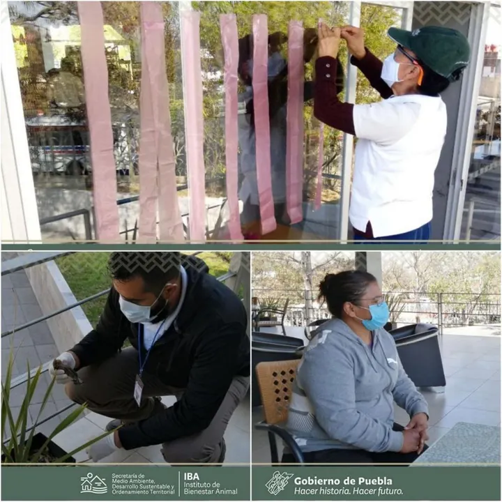 Colocan cintas a cafetería del Parque Ecológico