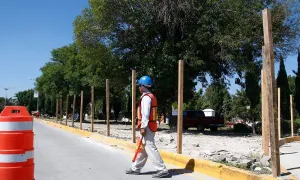 Mueren árboles sembrados en Bulevar Serdán