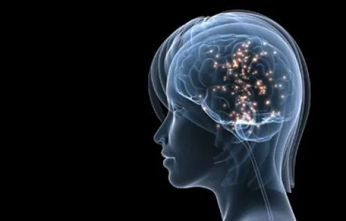 Neuromarketing, fundamental para entender el funcionamiento cerebral