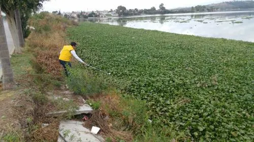 Capacita Cruz Roja a comunidades aledañas a Valsequillo para prevenir enfermedades