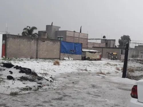 Granizada tapiza Tlaxcalancingo