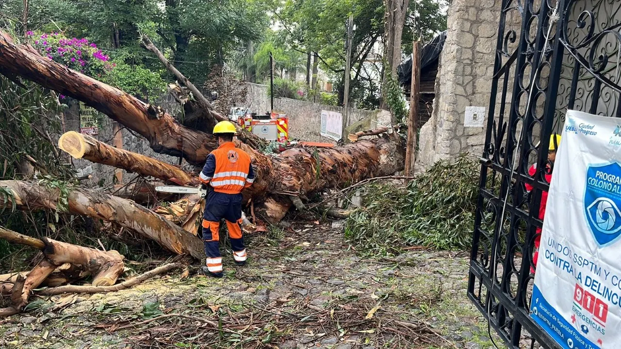 Limpieza de ciudad por lluvias