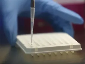El virus de la rabia podría ser la cura del cáncer