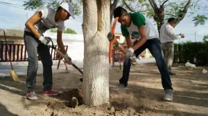 Alistan campaña de reciclaje y reforestación en Cuautlancingo
