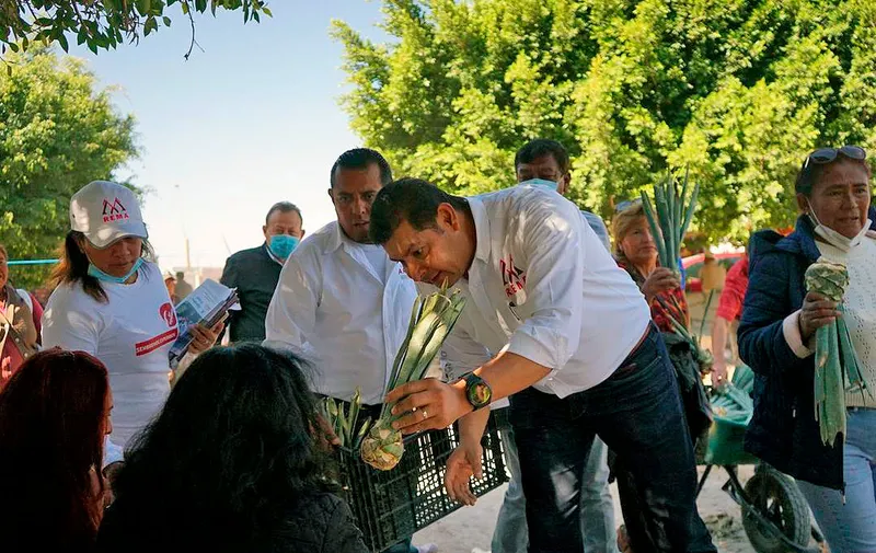 alejandro-armenta-tepexi-plantas-maguey