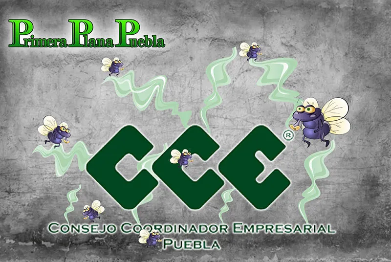 Cce Moscas