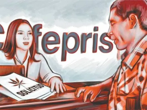 Avalan marihuana para uso recreativo; Suprema Corte emite jurisprudencia