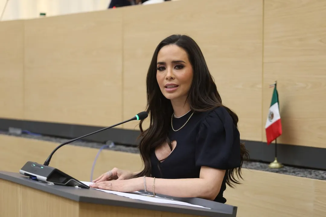 Elvia Graciela Palomares Ramirez