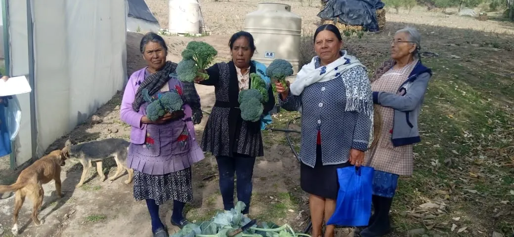 Impulsa SEDIF el programa “Salud y Bienestar Comunitario” en zonas de alta marginación